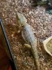 20161110_204049.jpg