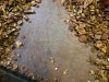 20161111_192823.jpg