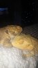 20161206_191859.jpg