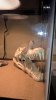 WP_20160729_21_30_52_Pro.jpg