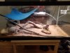 20171229_052623.jpg
