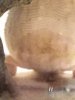20180910_195748.jpg