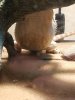 20180910_195801.jpg