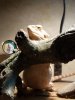 20180910_195838.jpg