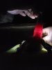 20181105_184855.jpg