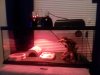 20181218_234915.jpg