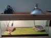 20200711_161131.jpg
