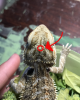 2020_07_14_Kleki (3).png