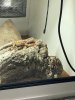 5AA432B3-C2CA-459C-8DEE-0297302A4E10.jpeg