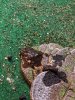 IMG_20200909_145637.jpg