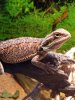 20200930_091127.jpg