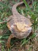 20200829_141053.jpg