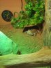 20201011_170505.jpg