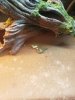20201014_085802.jpg
