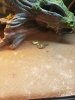 20201014_085800.jpg