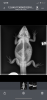 E04B4166-F160-4454-ADE7-D7D5F2F8FDBF.png