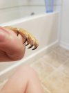 20201114_132742.jpg