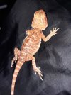20201219_212353.jpg