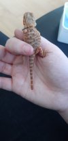 20201002_175058.jpg