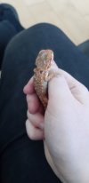 20201002_175042.jpg