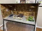 enclosure.jpg