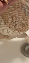 5AE16277-8433-4C78-A4C4-639AAFF1C9D9.png