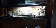 received_145168967425246.jpeg