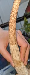 IMG_20210220_121513~2.jpg