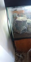 20210305_165353.jpg 20210305_165353.jpg