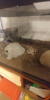 20210307_215648.jpg 20210307_215648.jpg