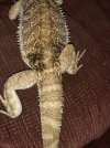20210319_193925.jpg