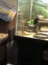 BEEFB0EE-3A43-40CB-8206-F00780CFA7C7.jpeg