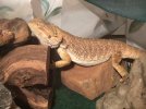 IMG_0296.jpeg