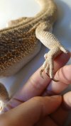 DSC_1733.JPG