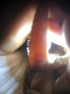 29E8A6B4-C599-4ECF-82BD-4CEB8438C398.jpeg