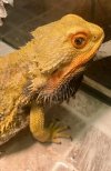 IMG_5656.jpeg