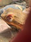 IMG_5701.jpeg