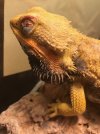 IMG_5804.jpeg