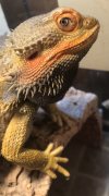 IMG_5865.jpeg