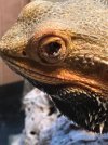IMG_6088.jpeg