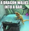 Dragon walks into a bar 2-Sal.jpg