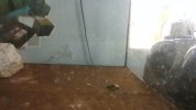 IMG_20240625_102118.jpg