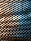 IMG_5575.jpeg