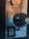 IMG_5574.jpeg