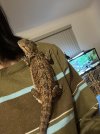IMG_2527.jpeg
