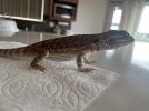 IMG_4112.jpeg