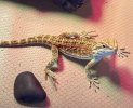 IMG_9440.jpeg
