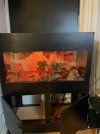 IMG_1258.jpeg