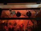 IMG_1257.jpeg