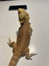 IMG_8761.jpeg